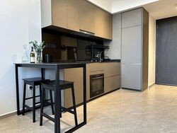 Park Colonial (D13), Condominium #565847241